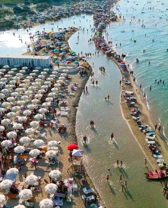 Photo of Others in Surbo