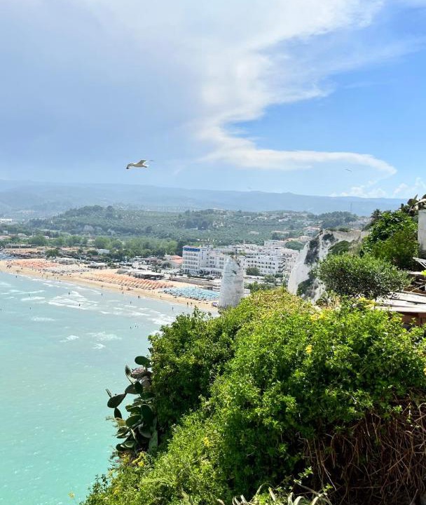 Photo of Others in Vieste