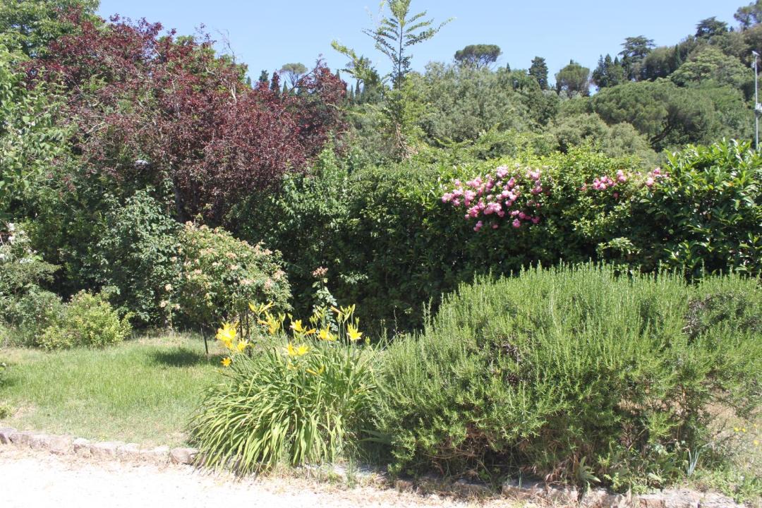 Photo of Others in Todi