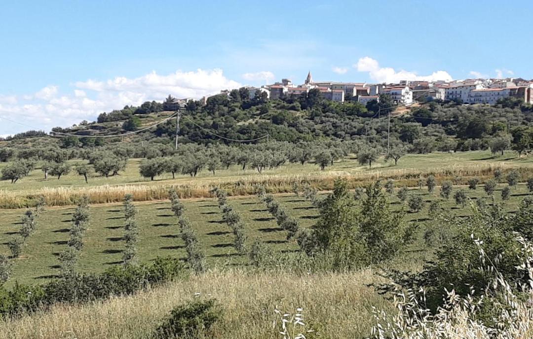 Photo of Others in Colletorto