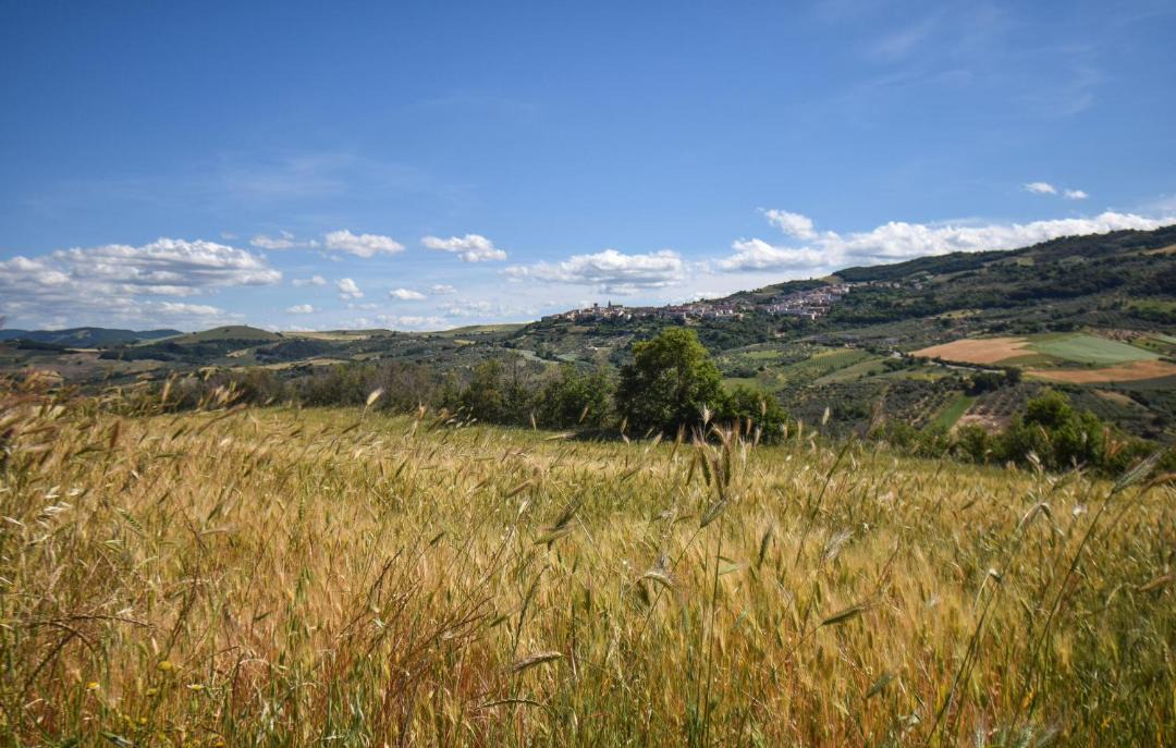 Photo of Others in Colletorto