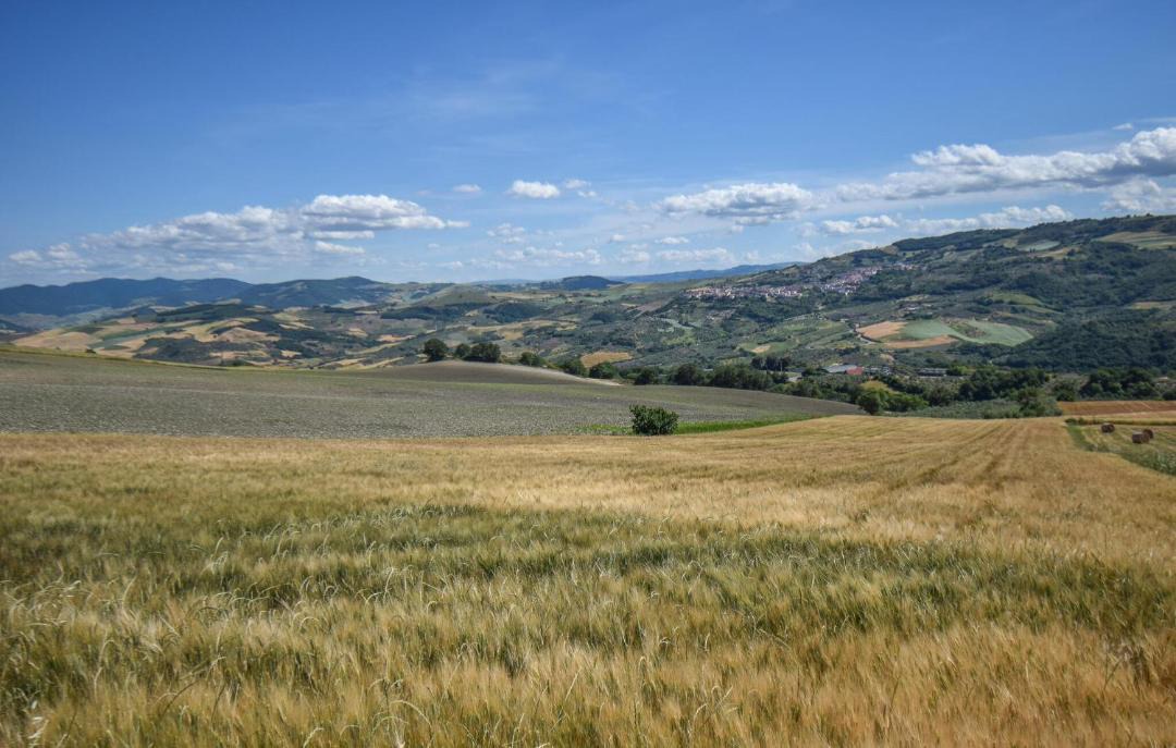 Photo of Others in Colletorto