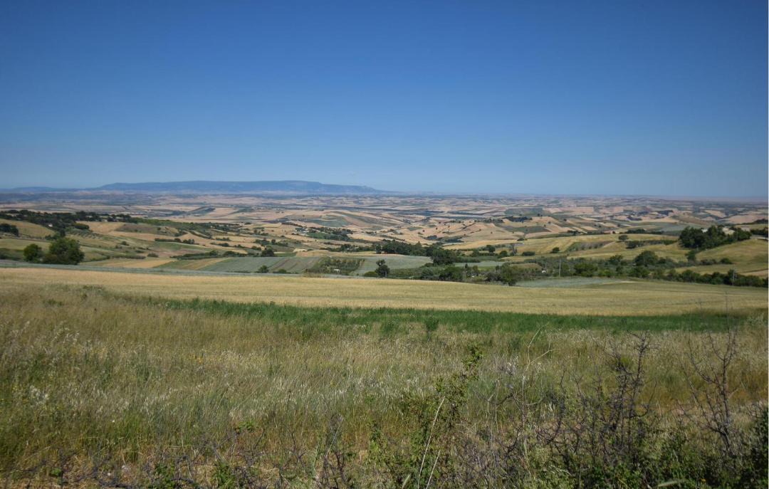 Photo of Others in Colletorto