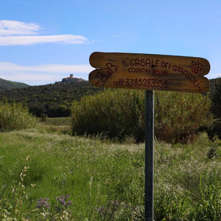 Photo of Others in Capalbio