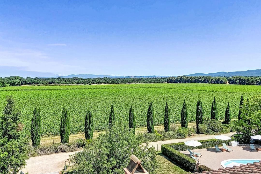 Photo of Others in Bolgheri I