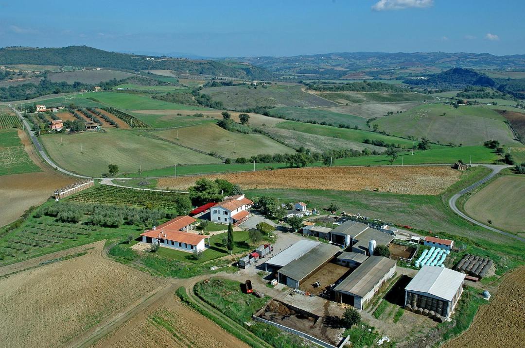 Photo of Others in Magliano in Toscana