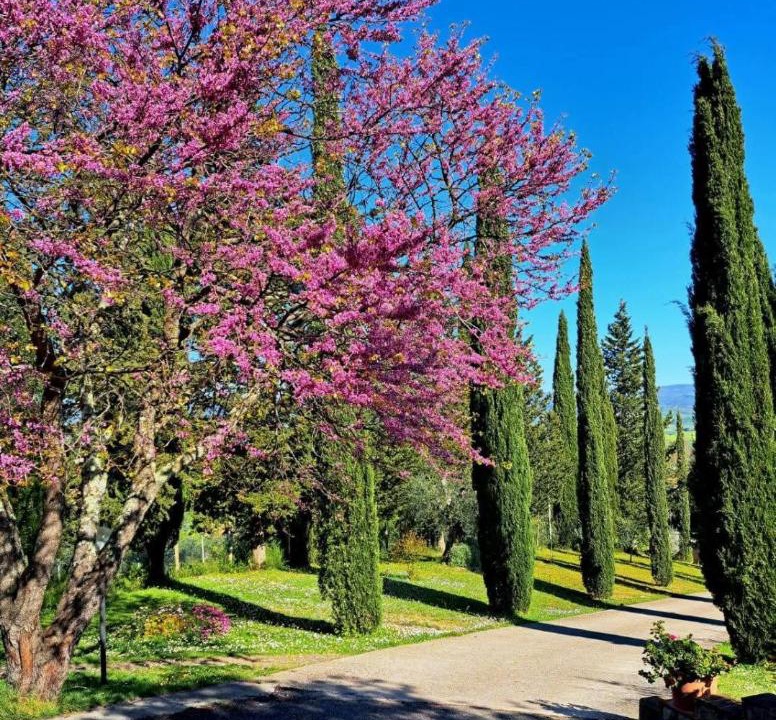Photo of Others in Montemerano