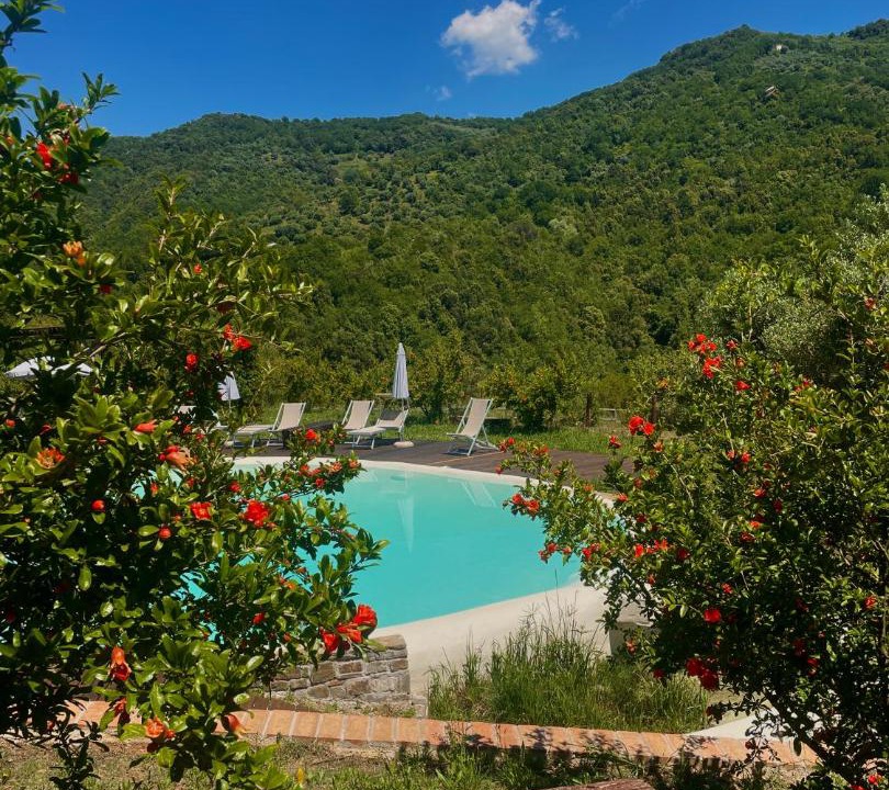 Photo of Others in Ostigliano