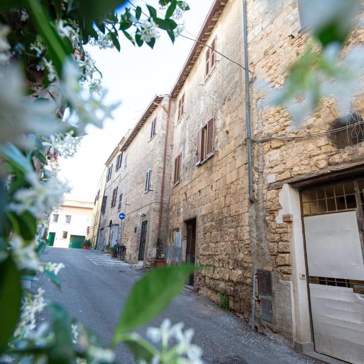 Photo of Others in Tarquinia