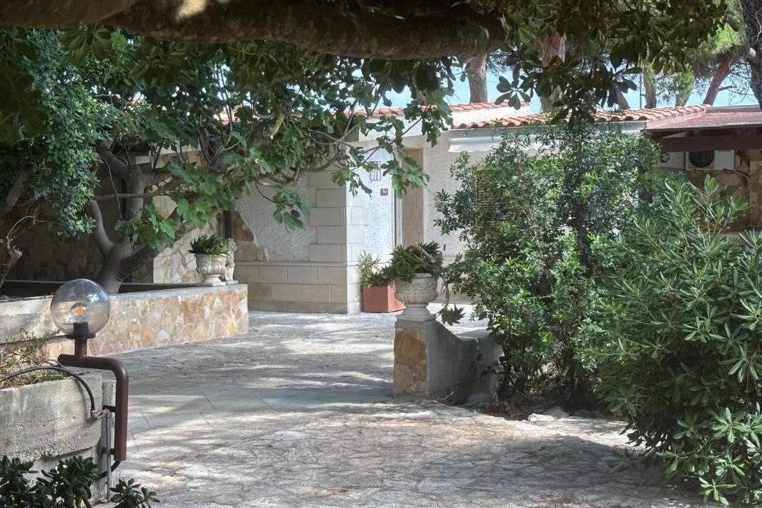Photo of Others in Giorgilorio