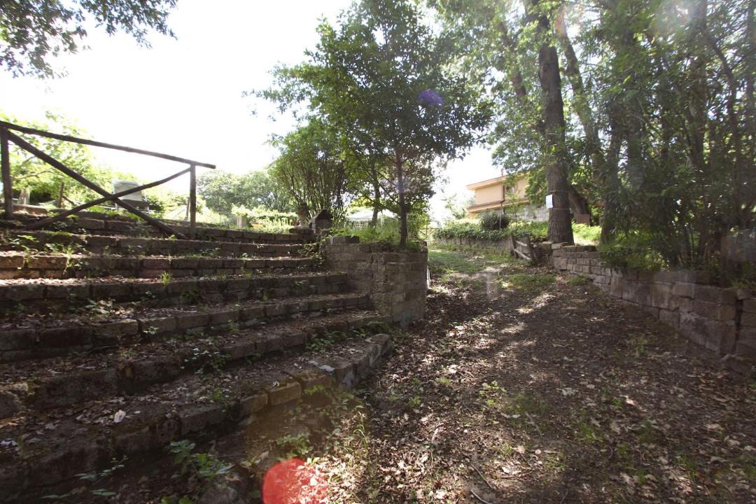 Photo of Others in Ara Nova