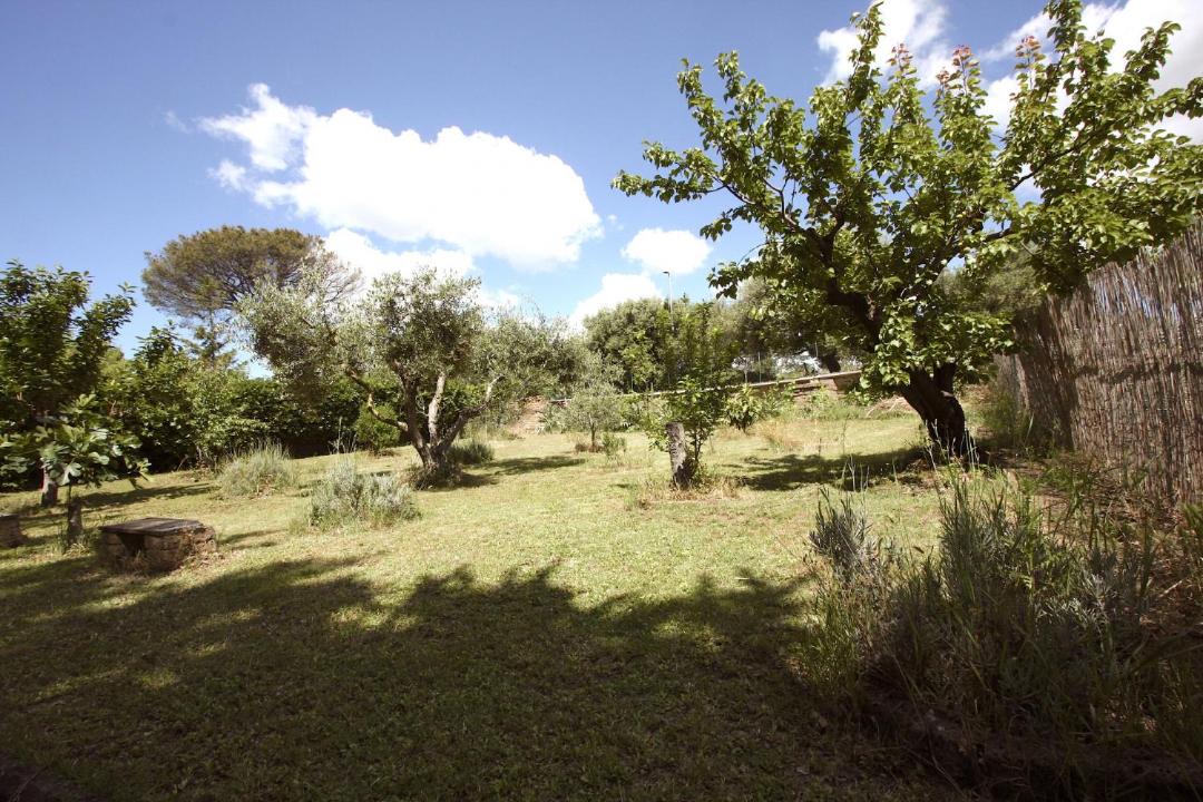 Photo of Others in Ara Nova