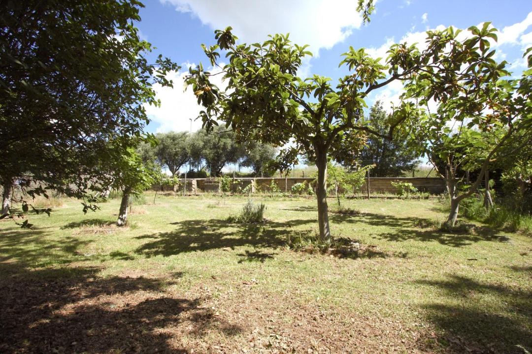 Photo of Others in Ara Nova
