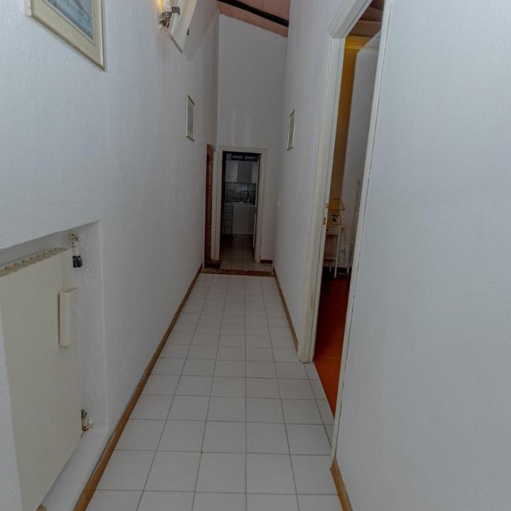 Photo of Others in Ansedonia