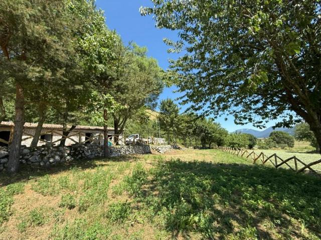 Photo of Others in San Gregorio Matese