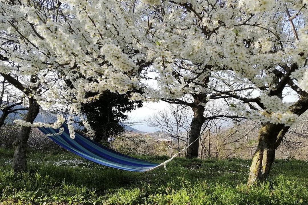 Photo of Outdoor in Vico Equense