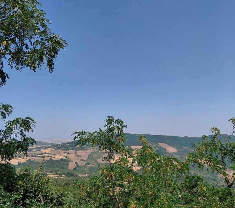 Photo of Others in Palmoli