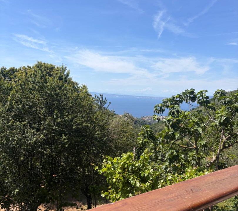Photo of Others in Vico Equense