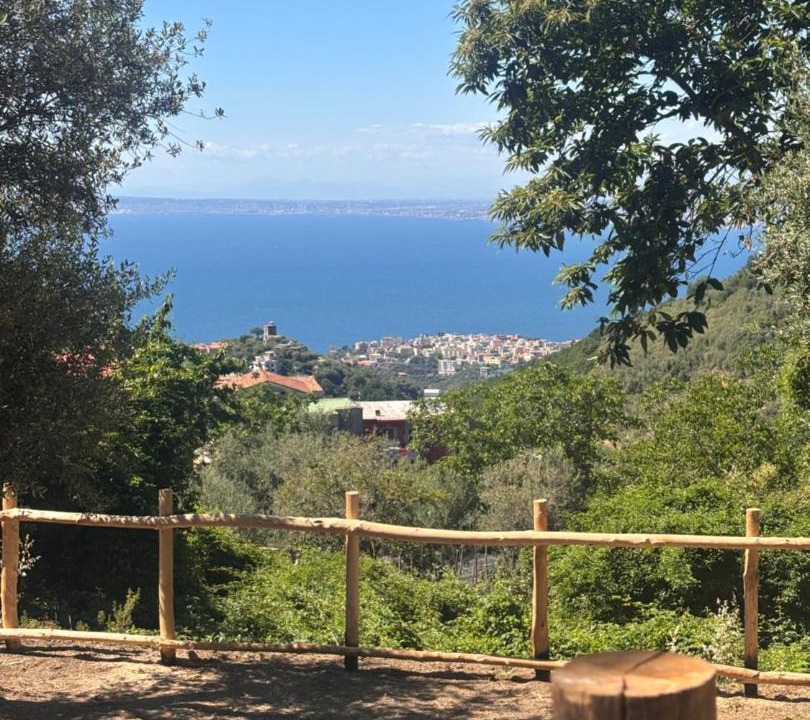 Photo of Others in Vico Equense