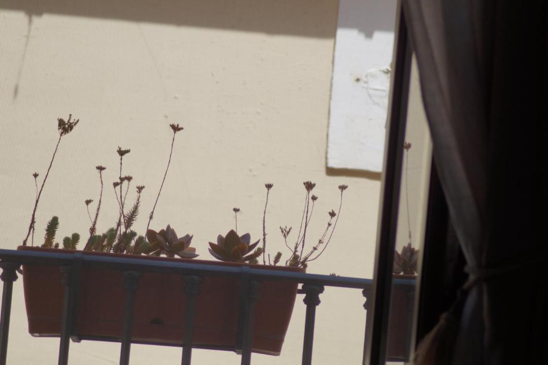 Photo of Others in Sant'Agata de'Goti