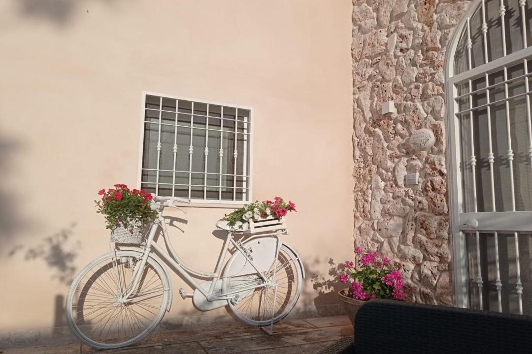 Photo of Others in Torricella