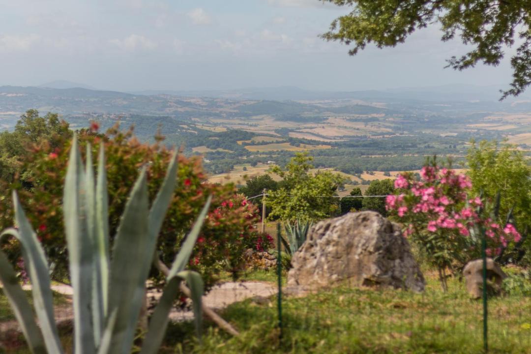 Photo of Others in Semproniano