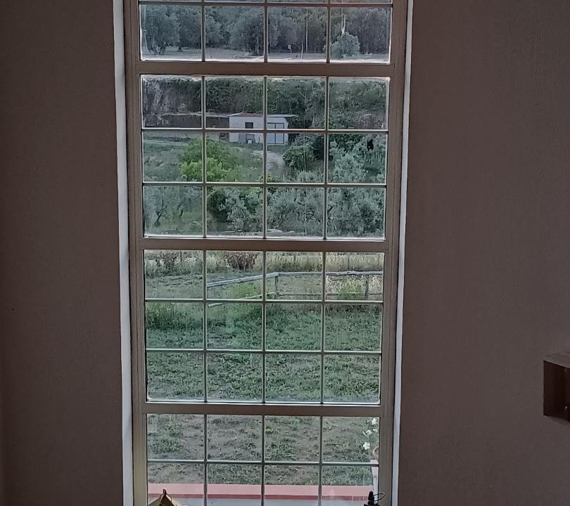 Photo of Others in Canino