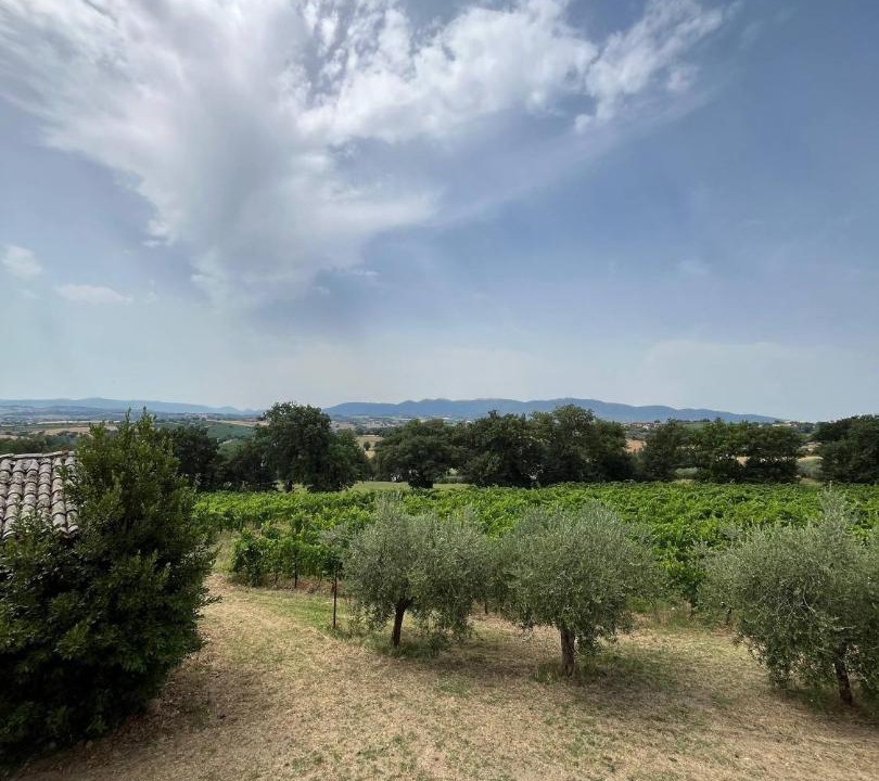 Photo of Others in Montefalco