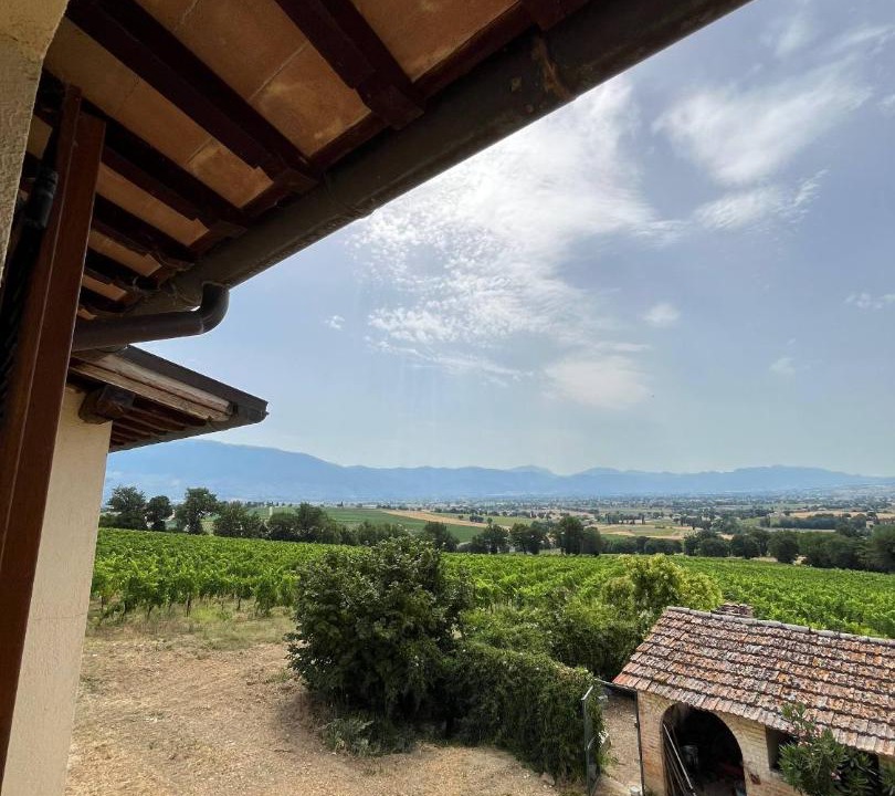 Photo of Others in Montefalco