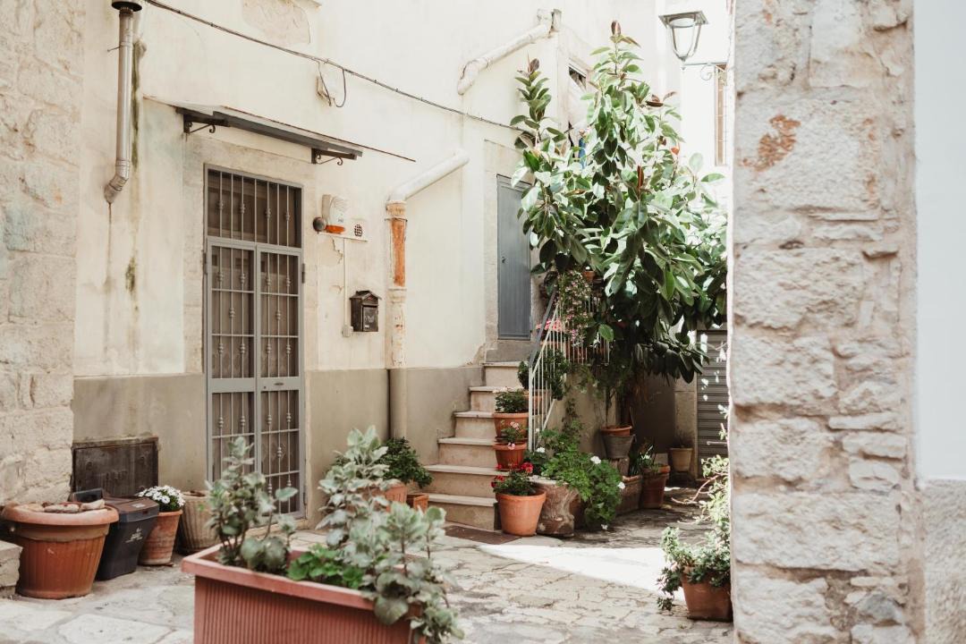 Photo of Others in Bitonto