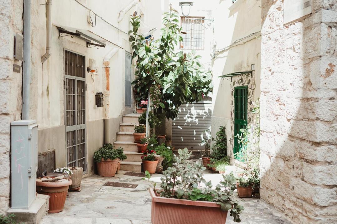 Photo of Others in Bitonto