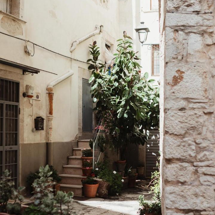 Photo of Others in Bitonto