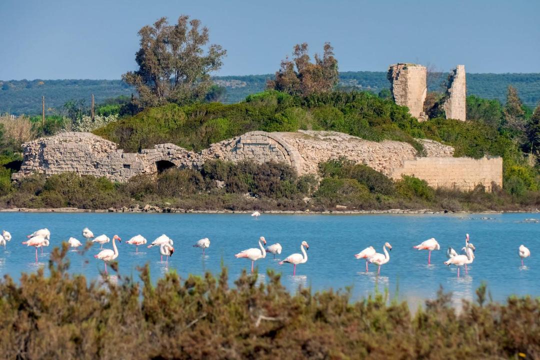Photo of Others in Torre Colimena