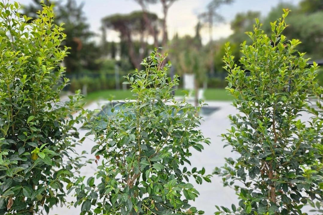 Photo of Outdoor in Zona XXXIV Casal Palocco