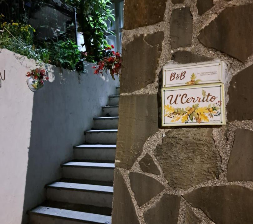 Photo of Others in Orria