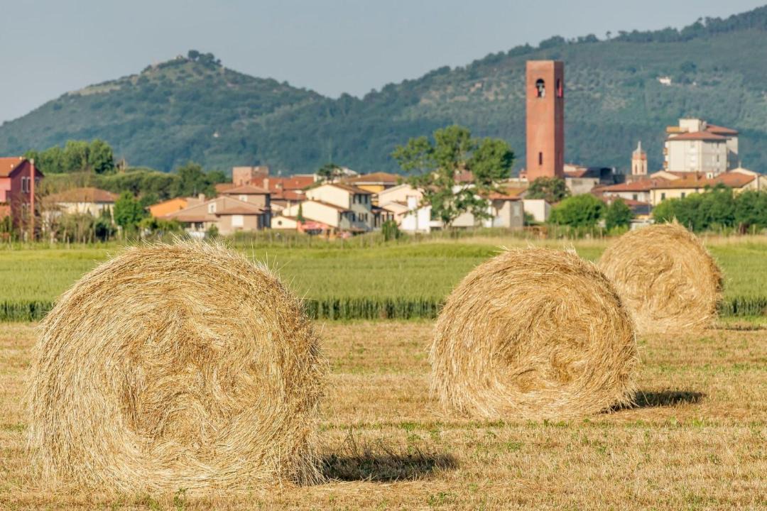 Photo of Others in Montecalvoli