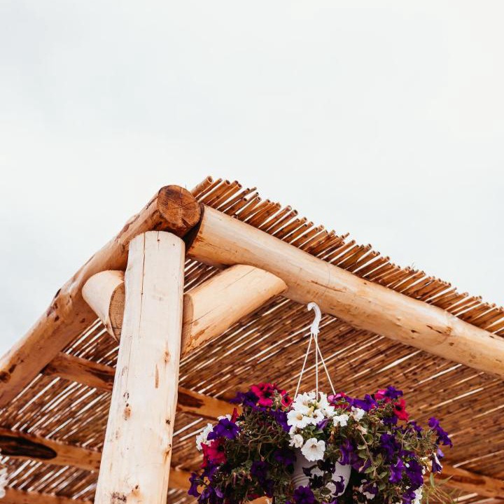Photo of Others in Castelnuovo Cilento