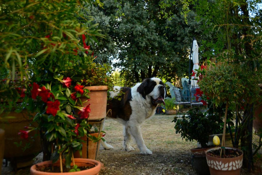 Photo of Others in Gualdo Cattaneo