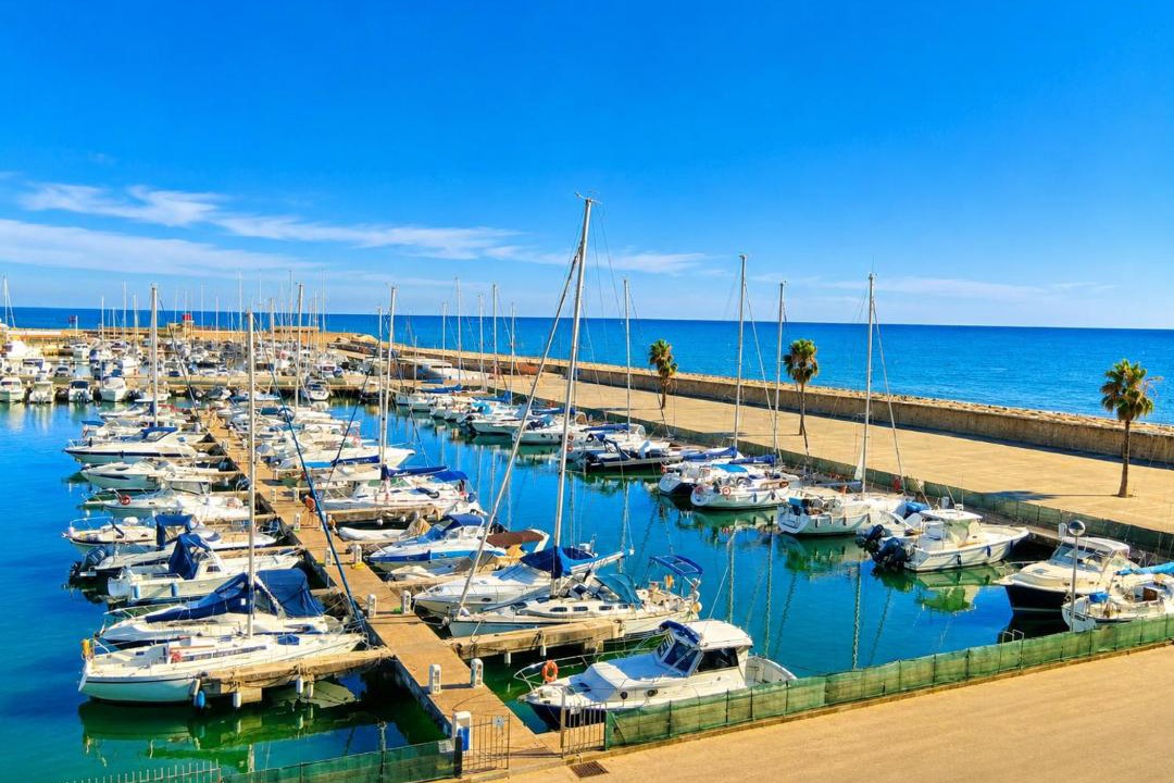 Photo of Others in Nettuno