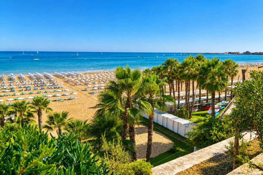 Photo of Others in Nettuno