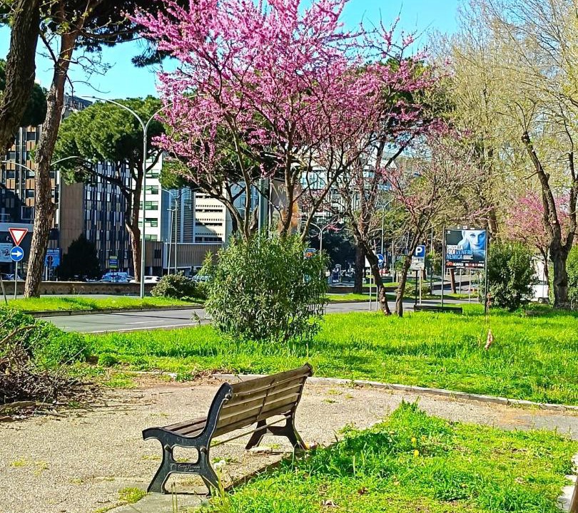 Photo of Others in Quartiere XX Ardeatino