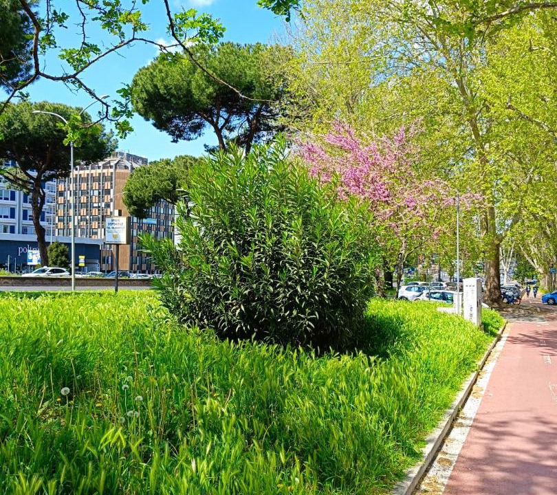 Photo of Others in Quartiere XX Ardeatino
