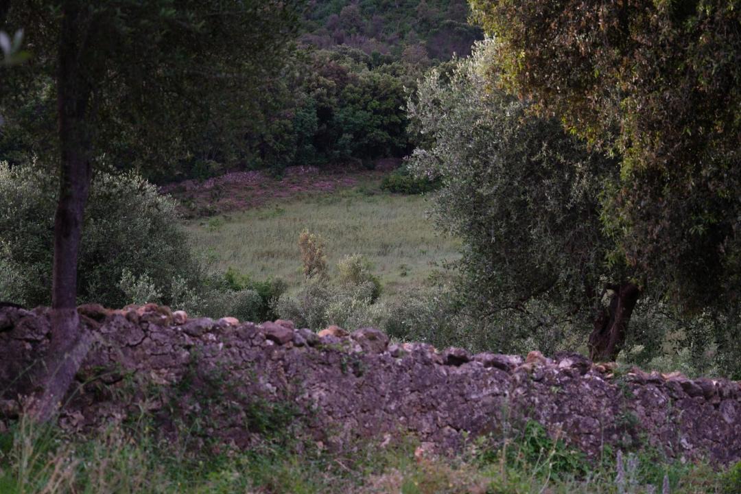 Photo of Others in Montorsaio