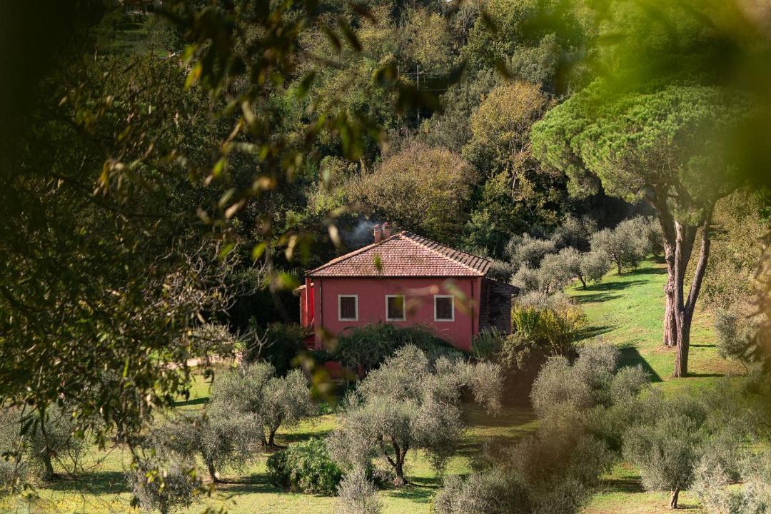 Photo of Others in Poggio