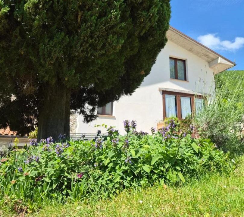 Photo of Others in Poggio San Vicino