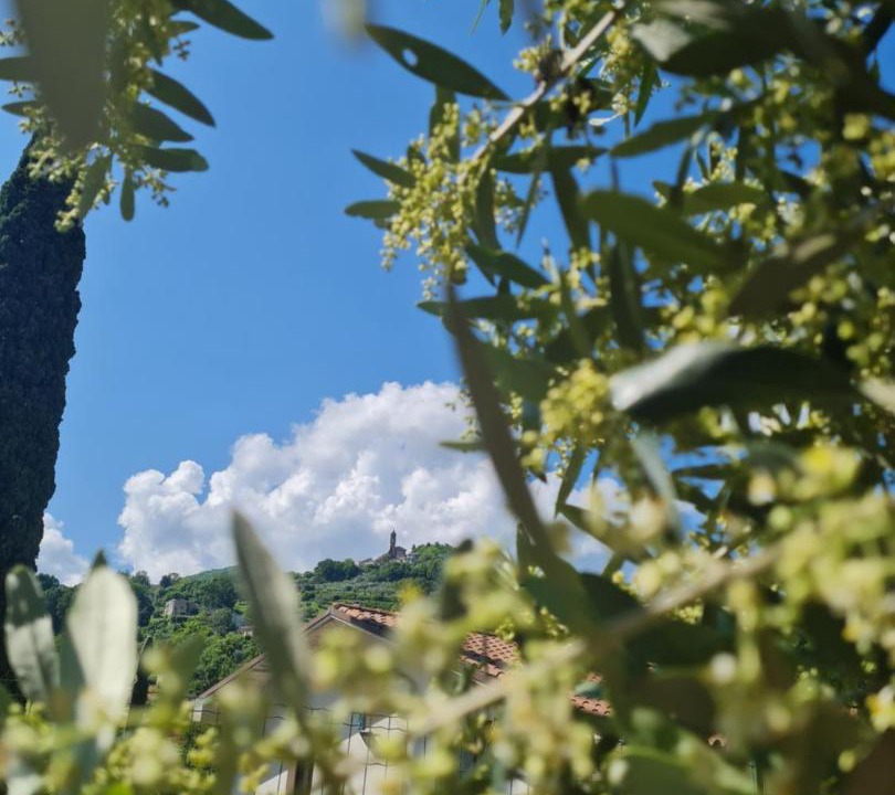 Photo of Others in Poggio San Vicino
