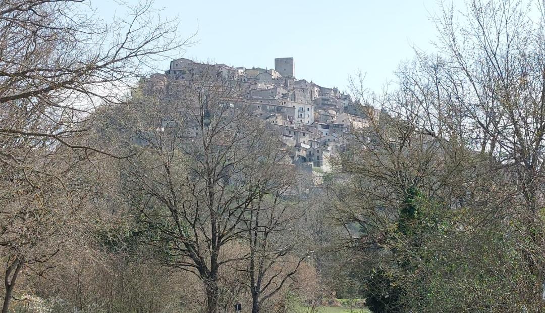 Photo of Others in Pereto