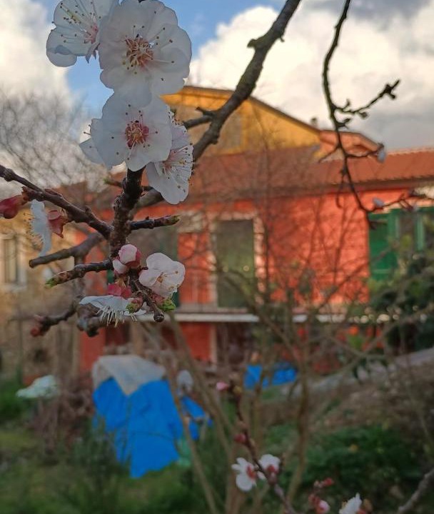 Photo of Outdoor in Ogliastro Cilento