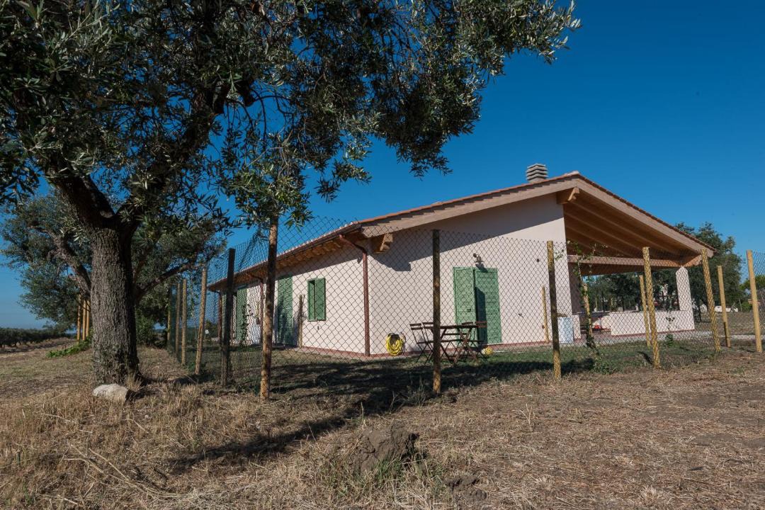 Photo of Others in Cerveteri