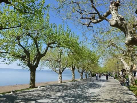 Photo of Others in Lake Bracciano